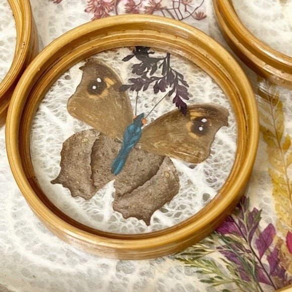 Vintage MCM Pressed Butterfly Bamboo Tray &‎ Coaster Set 6 Pieces - Picture 2 of 13